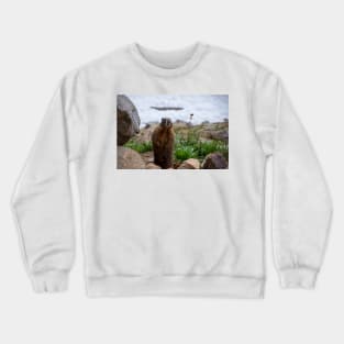 Standing Marmot Crewneck Sweatshirt